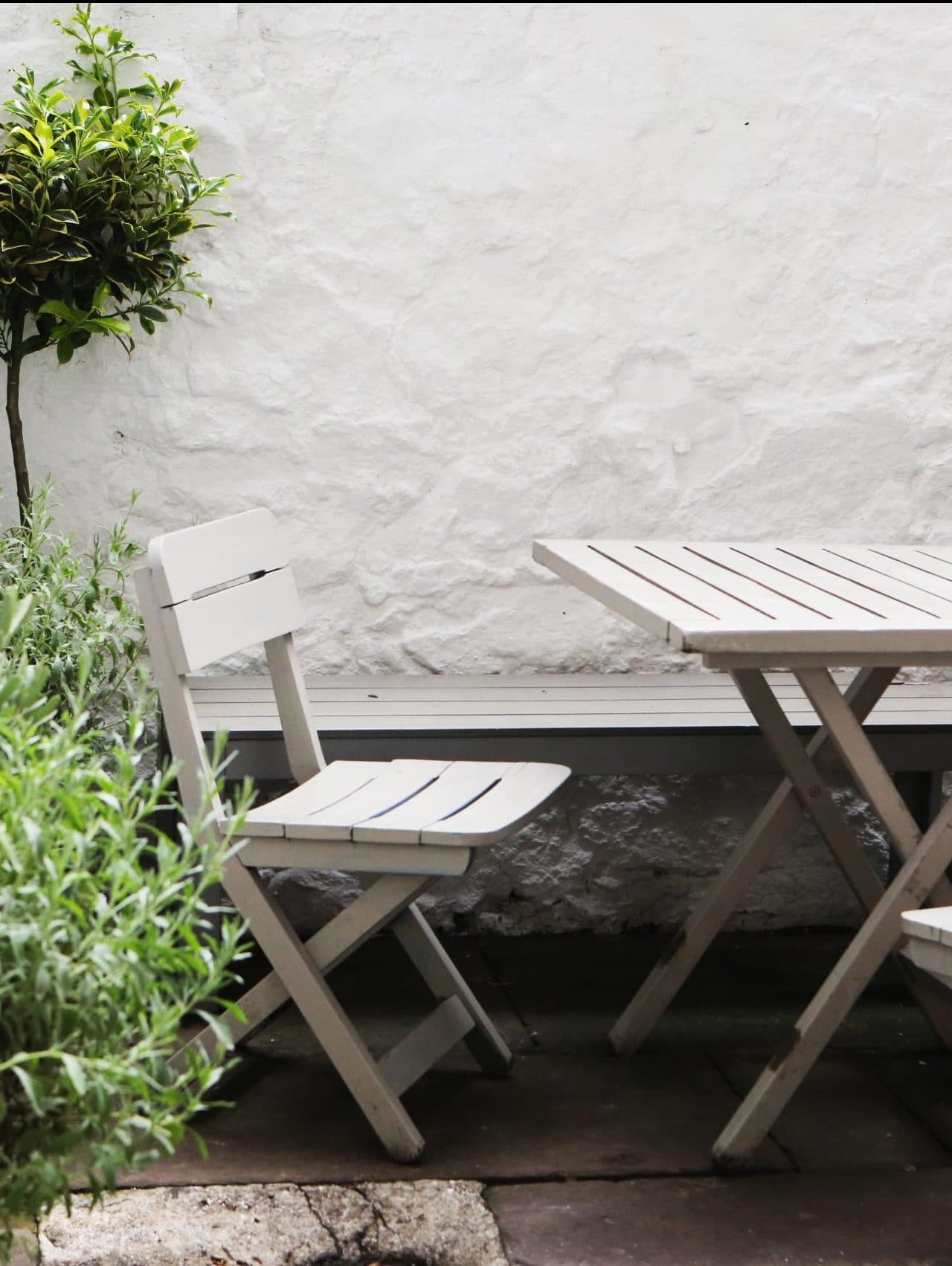 olivtrad-och-vita-altanmobler-pa-en-traaltan